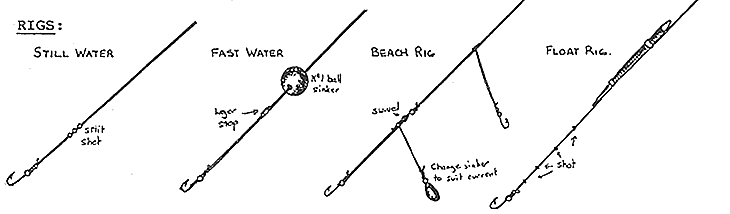 Bream Rigs